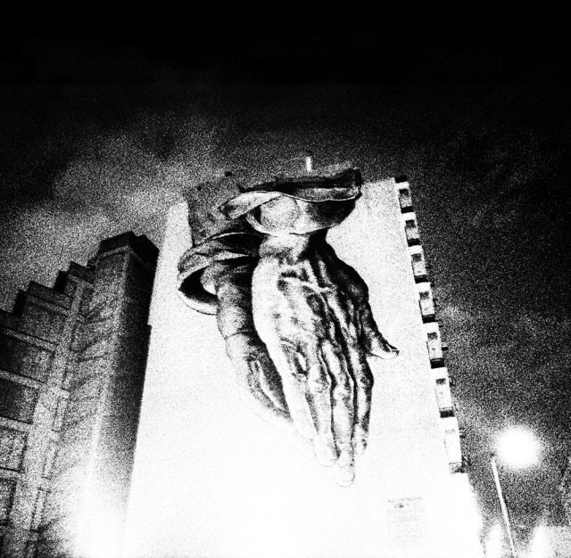 Oiseaux-Tempête-COVER