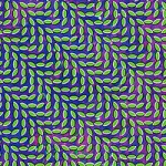 200px-animal_collective_merriweather