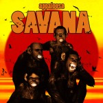 appaloosa-savana