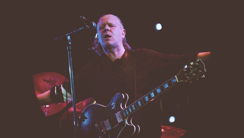 swans