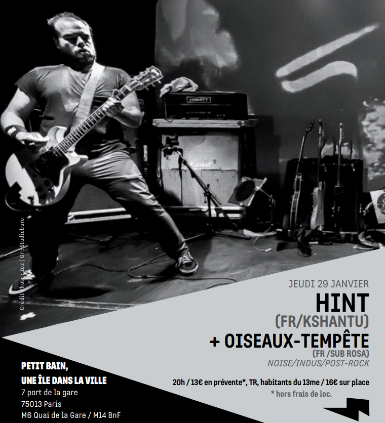 HINT & OISEAUX-TEMPETE