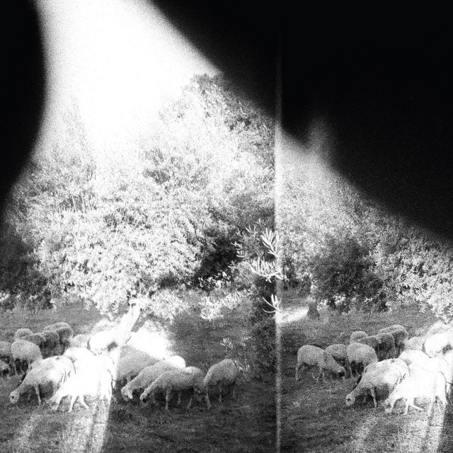 Godspeed You ! Black Emperor - Asunder, Sweet And Other Distress