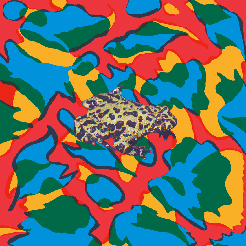 OD / MB â€Žâ€“ Shplittinâ€™ The Shtones 12" (No Label, 2015)